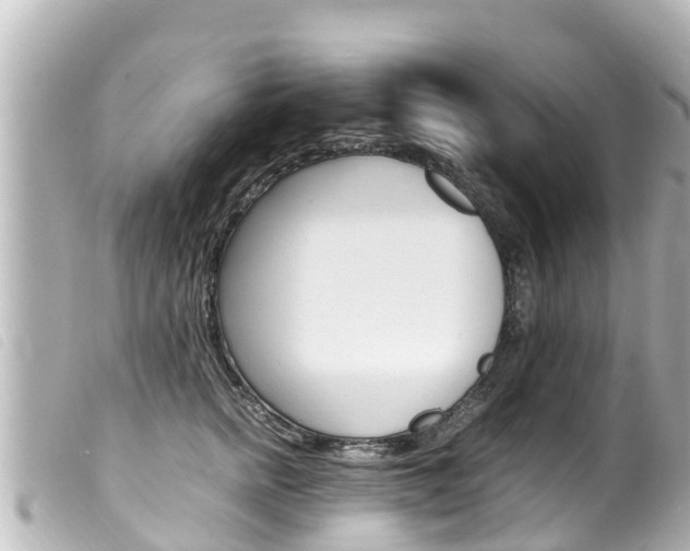 X0000100220758200805300747