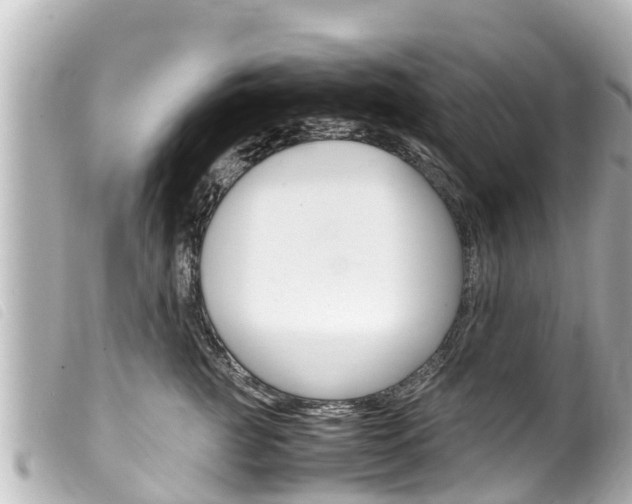 X0000100220761200805300747