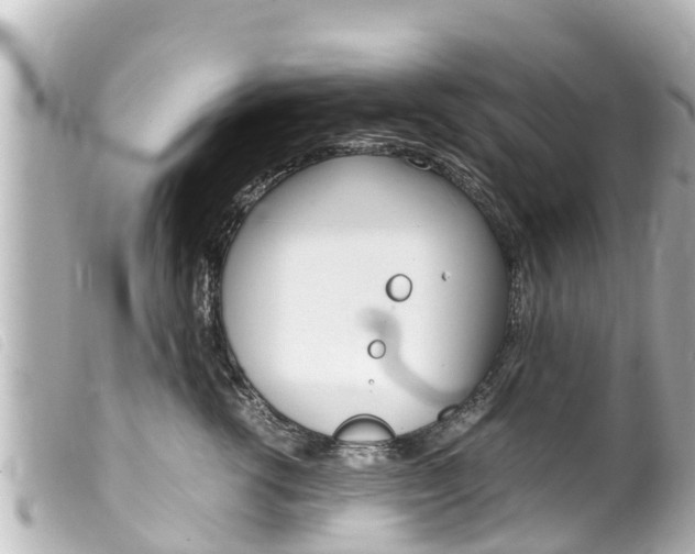 X0000100220762200805300747