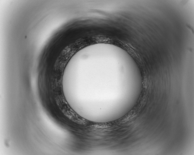 X0000100220763200805300747
