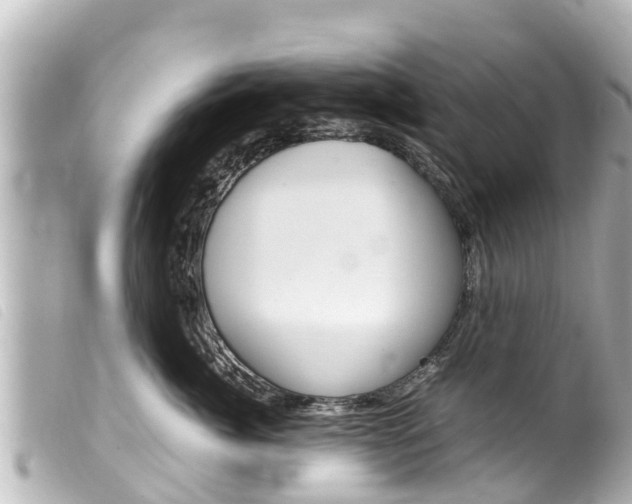 X0000100220764200805300747