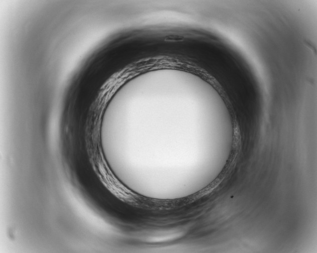 X0000100220765200805300747
