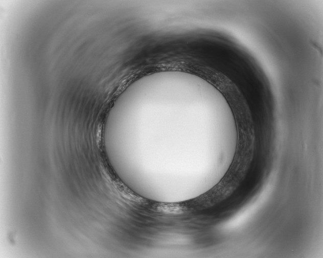 X0000100220767200805300747