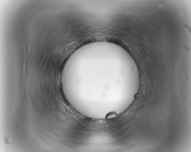 X0000100220768200805300747