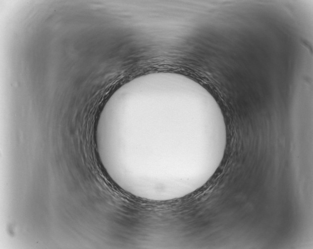 X0000100220769200805300747