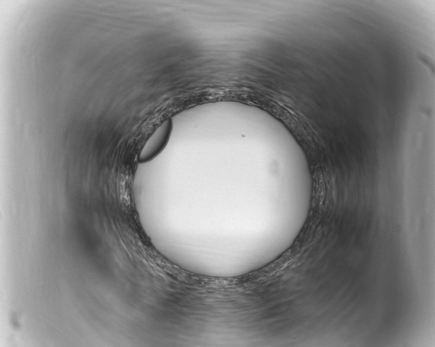X0000100220770200805300747