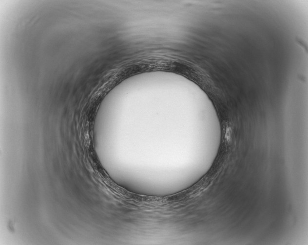 X0000100220771200805300747