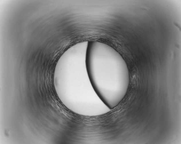 X0000100220772200805300747