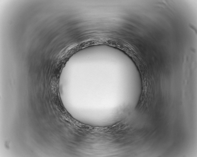 X0000100220773200805300747