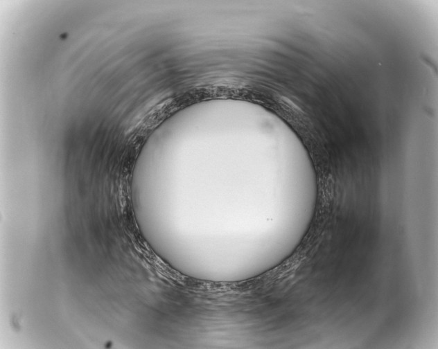 X0000100220774200805300747