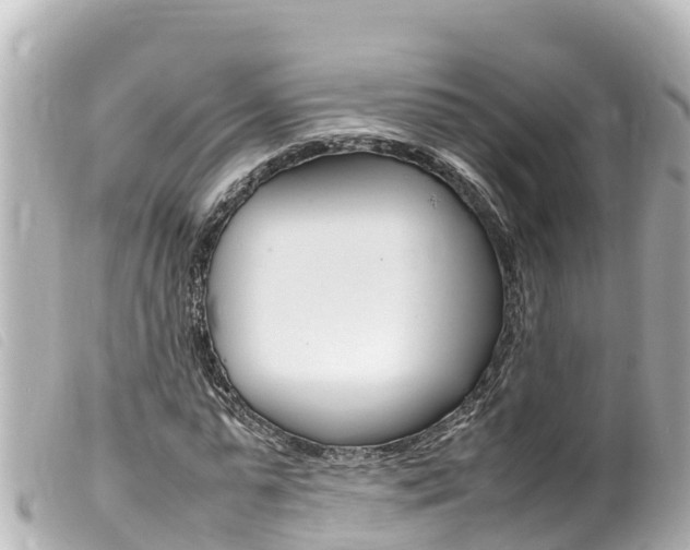 X0000100220775200805300747