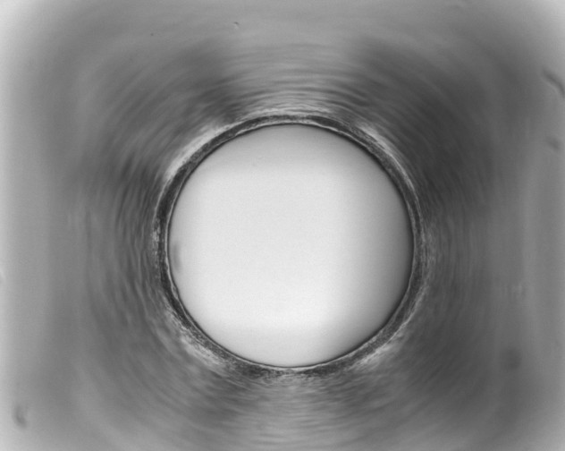 X0000100220779200805300747