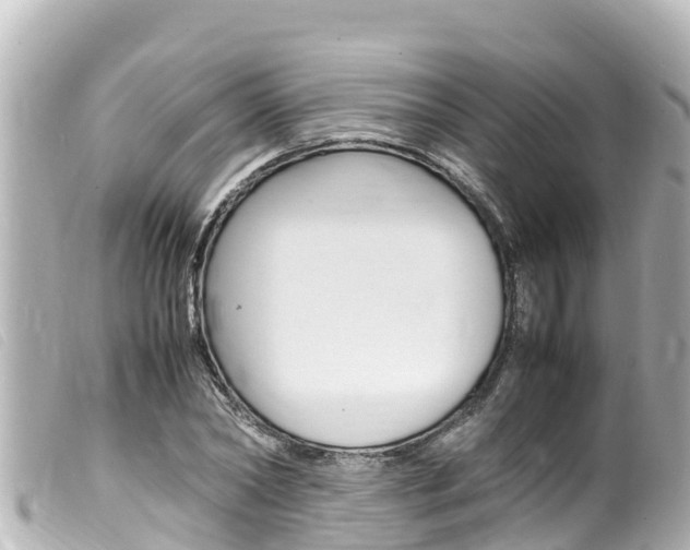 X0000100220782200805300746