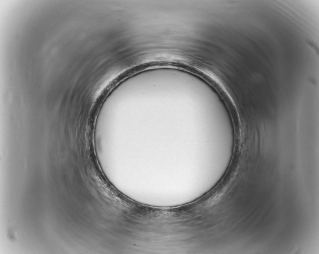 X0000100220783200805300746