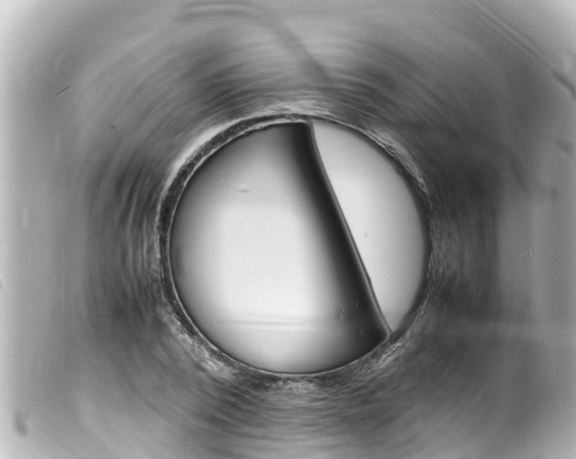X0000100220784200805300746
