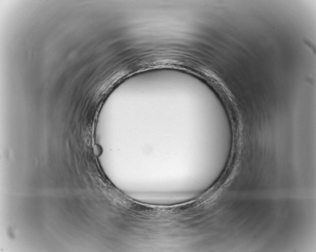 X0000100220785200805300746