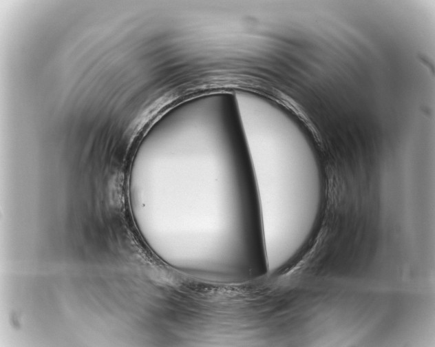 X0000100220786200805300746