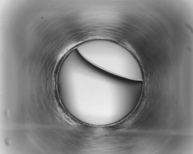 X0000100220787200805300746
