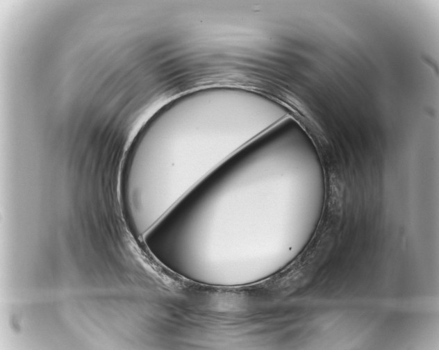 X0000100220788200805300746