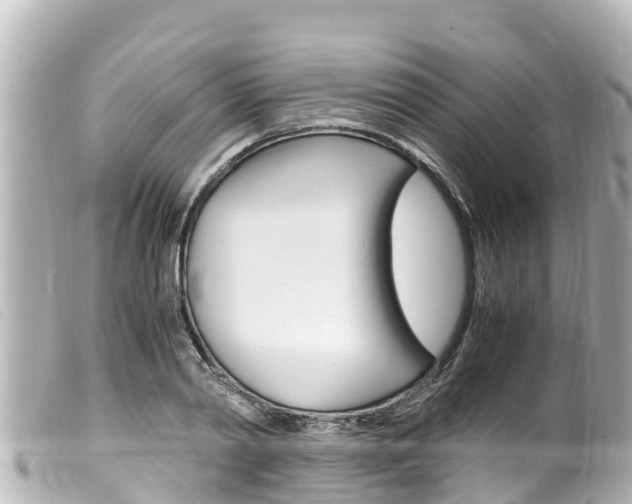 X0000100220790200805300746