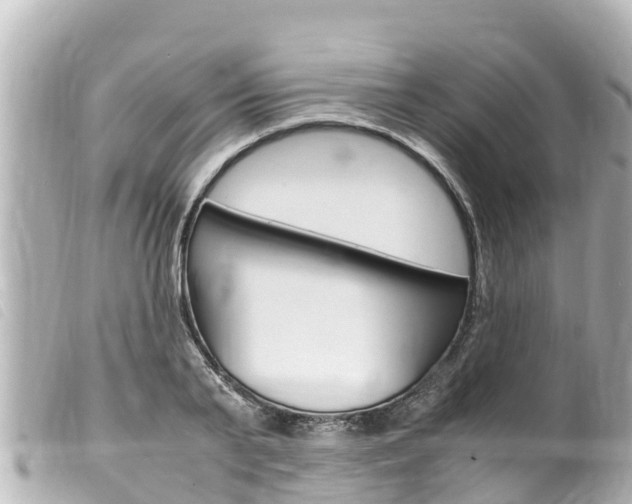 X0000100220791200805300746