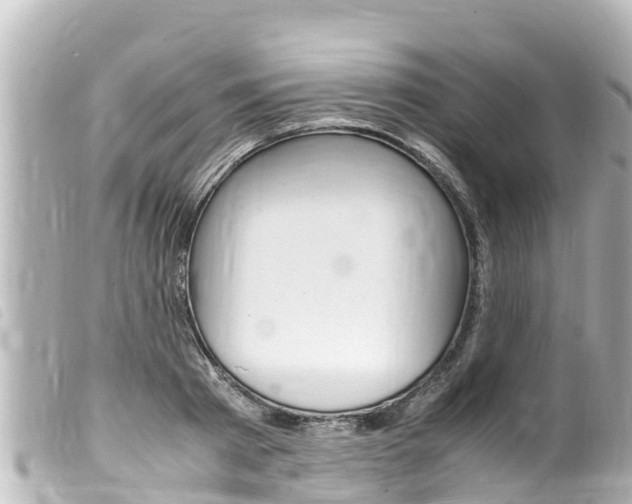 X0000100220793200805300746