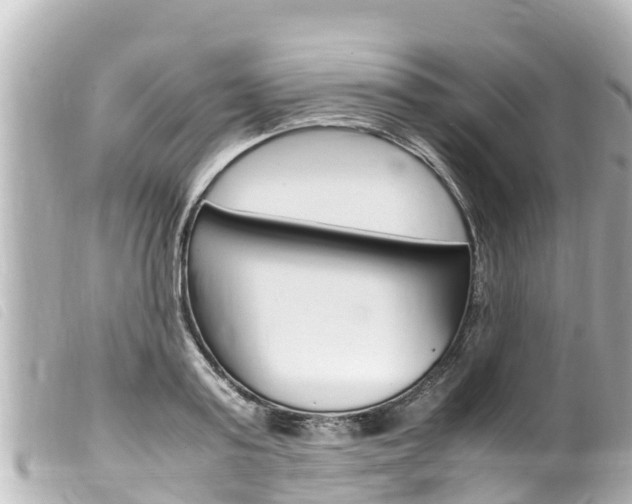 X0000100220795200805300746