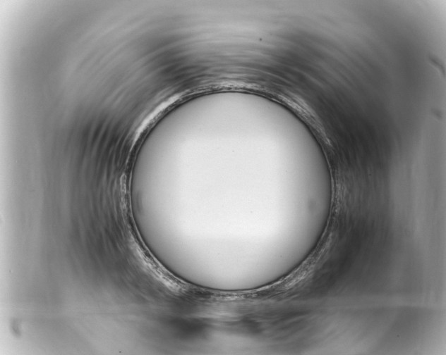X0000100220798200805300746