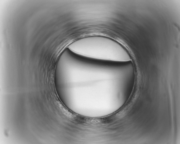 X0000100220801200805300746