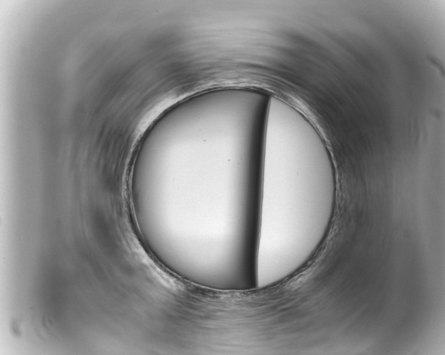 X0000100220803200805300746