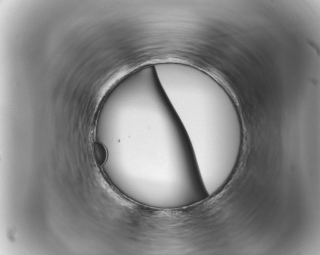 X0000100220805200805300746