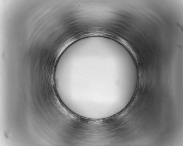 X0000100220810200805300746