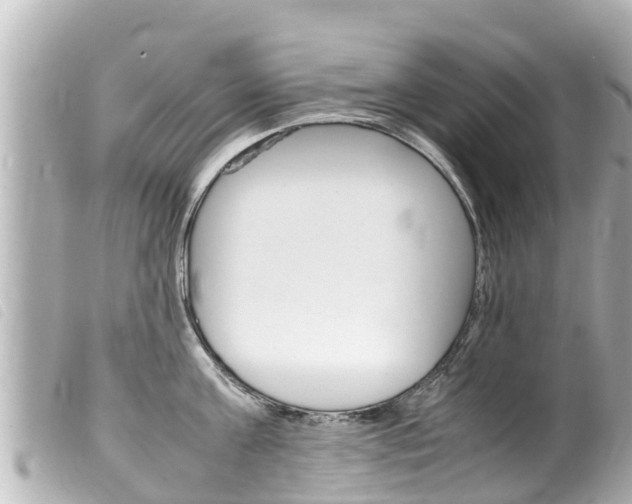 X0000100220811200805300746