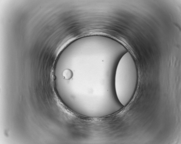 X0000100220814200805300746