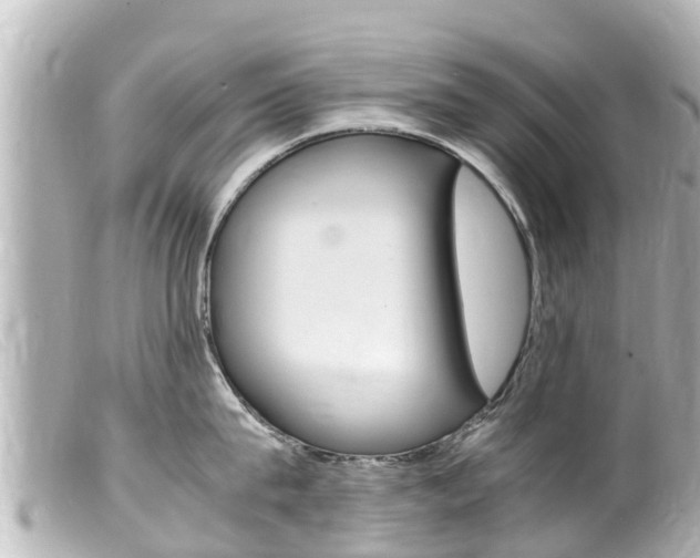 X0000100220815200805300746