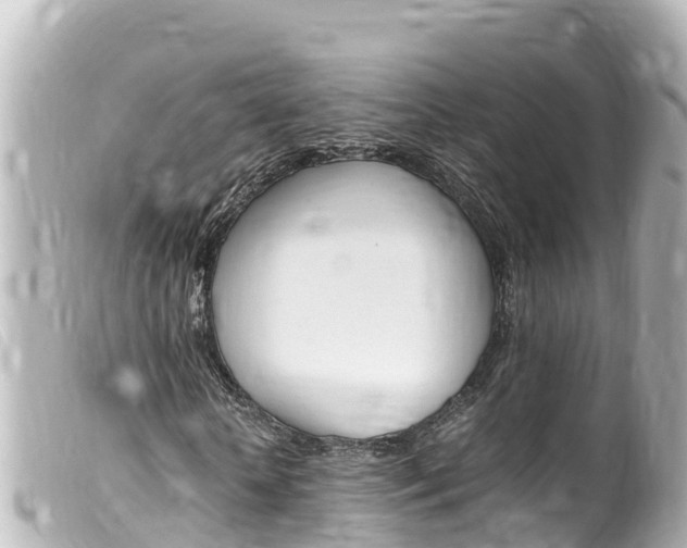 X0000100220818200805300745