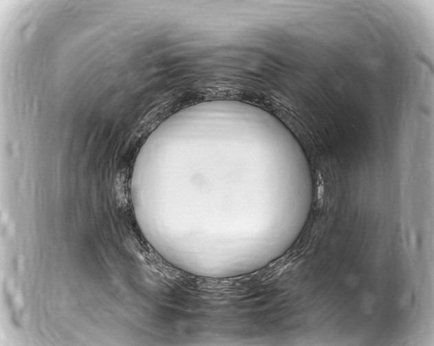 X0000100220819200805300746