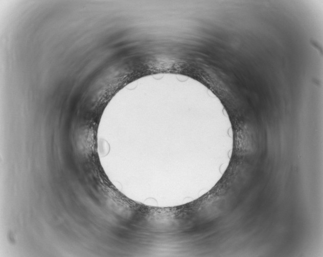 X0000100220820200805300746