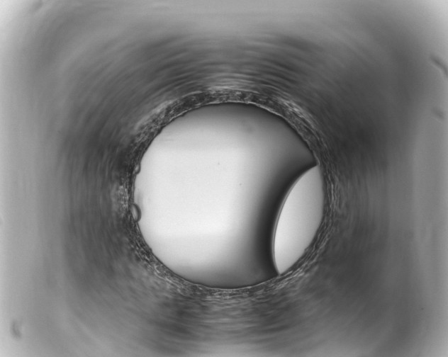 X0000100220821200805300746
