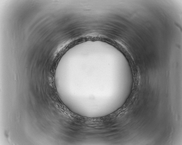 X0000100220823200805300746
