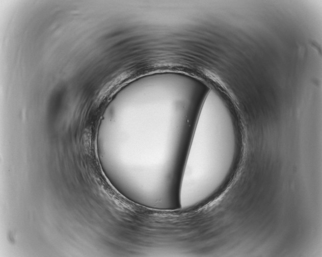 X0000100220825200805300746