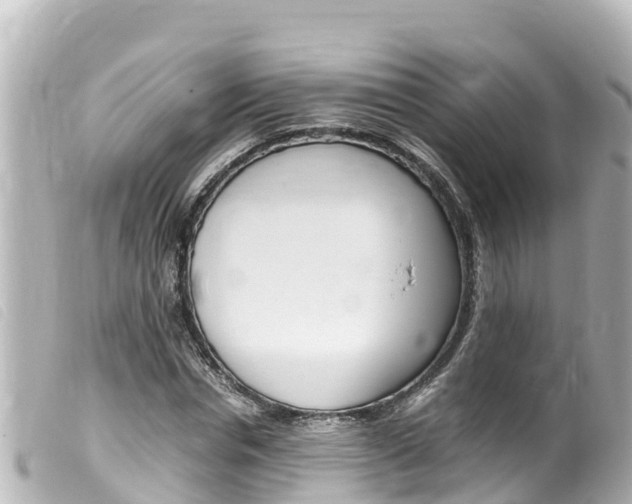 X0000100220826200805300746