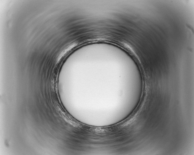 X0000100220827200805300746