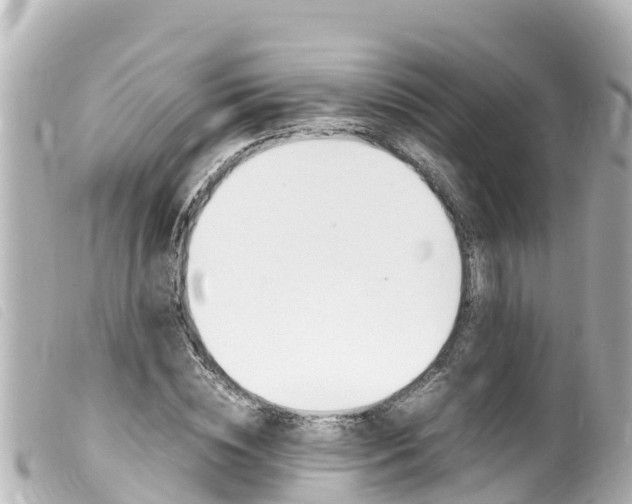X0000100220828200805300746