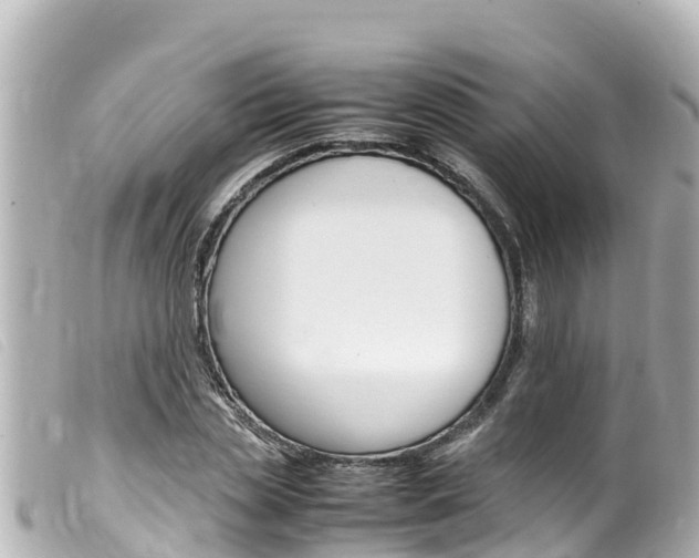 X0000100220829200805300746