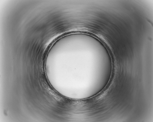 X0000100220830200805300746
