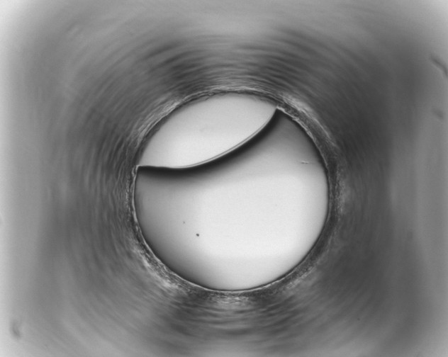 X0000100220833200805300746