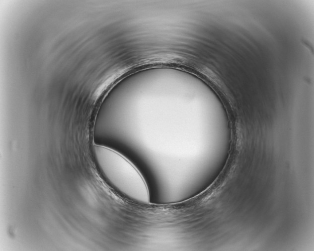 X0000100220834200805300746