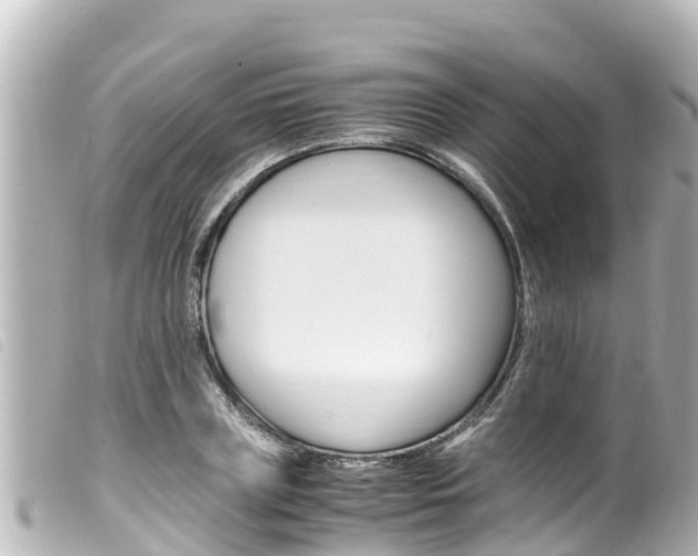 X0000100220835200805300746
