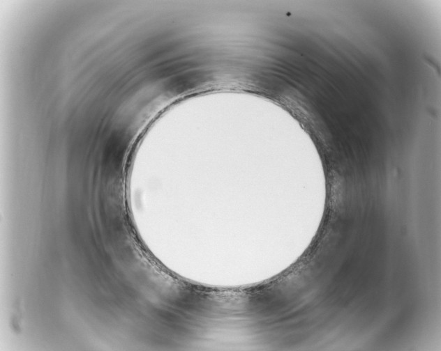 X0000100220836200805300746